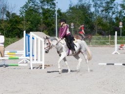 IMG_0482_web